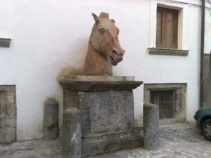 cavallo-1